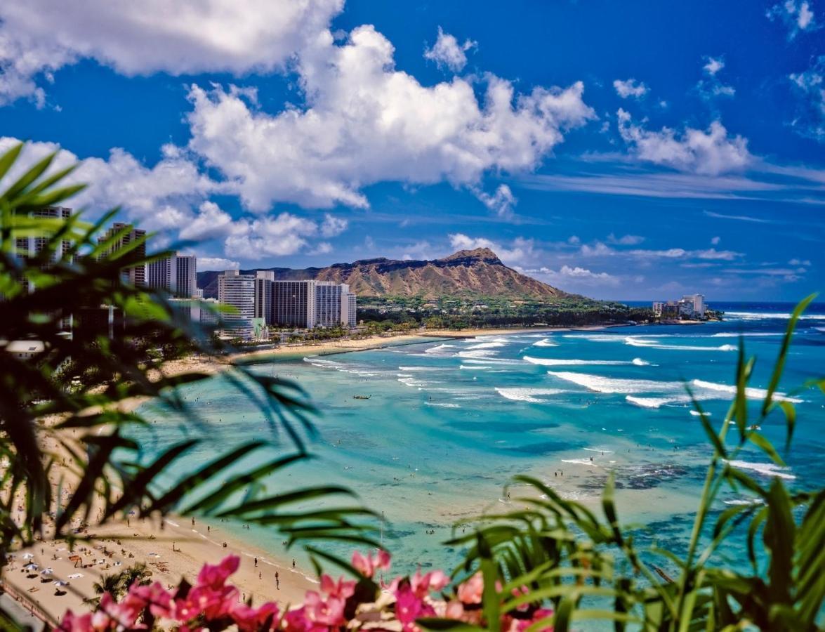 Great Diamond Head Views, 2Br Condo With Free Parking! هونولولو المظهر الخارجي الصورة